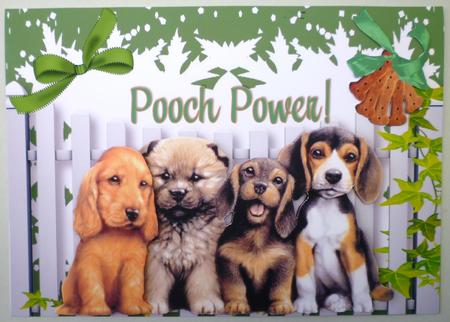 Pooch Power, Cute Little Dogs by Michelle Chivers