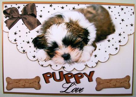 Puppy Love , Sleeping Puppy, on a Scalloped Envelope A4 by Michelle Chivers