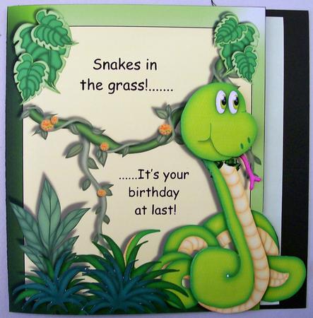 Snake Over the Edge Card Front by Michelle Chivers