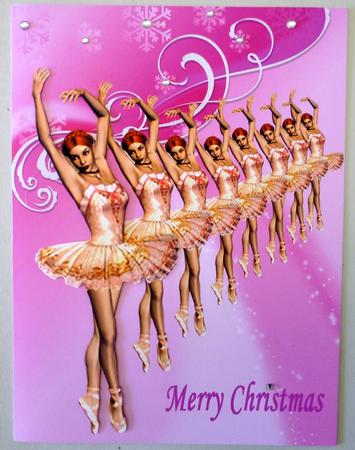 Christmas Ballet by Michelle Chivers