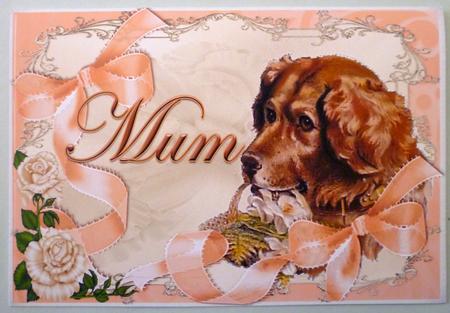 Puppy #2 Topper & Verse-apricot by Michelle Chivers