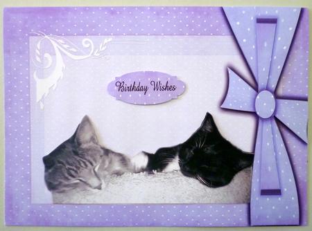 Black and White Cats with Lilac by Michelle Chivers