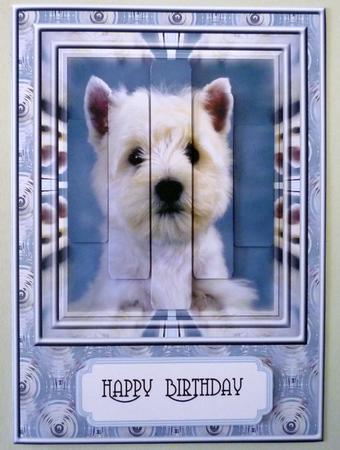 White Dog Against Blue by Michelle Chivers