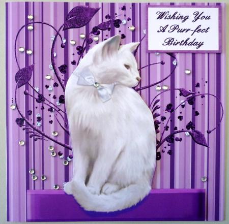 Purr-fect Birthday by Michelle Chivers