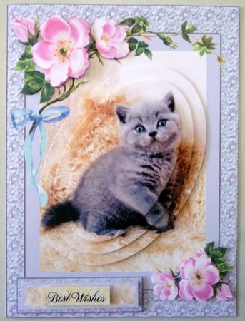 Little Pretty Kitty by Michelle Chivers