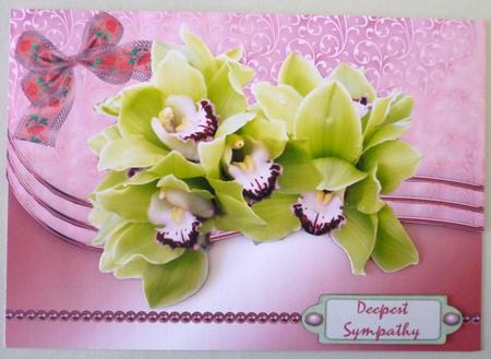 Green Orchids for Birthday Get Well or Sympathy by Michelle Chivers