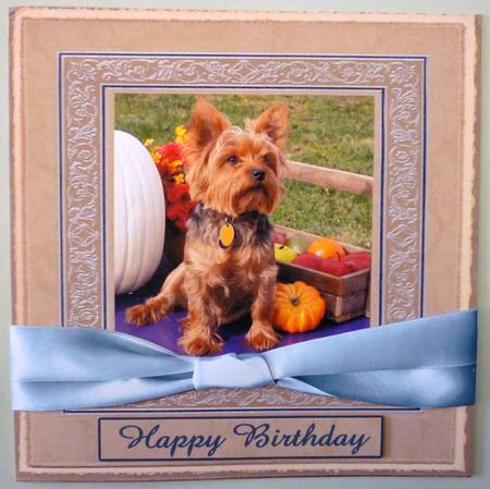 Pup with Gourds, in Frame by Michelle Chivers