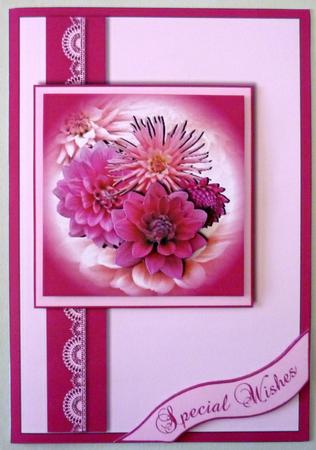 Pink Dahlias by Michelle Chivers