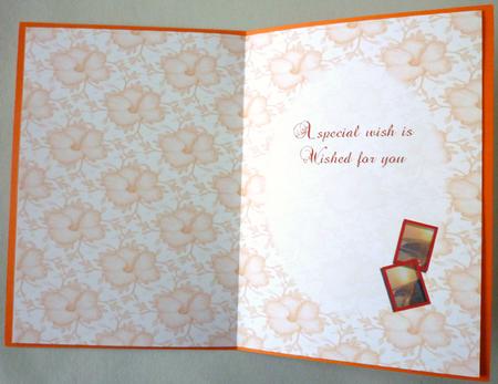 Sunny Daze Insert by Michelle Chivers