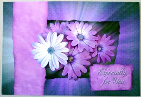 Daized, A5 Step by Step Card by Michelle Chivers