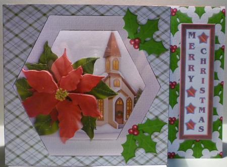 Poinsettia at Christmas by Michelle Chivers
