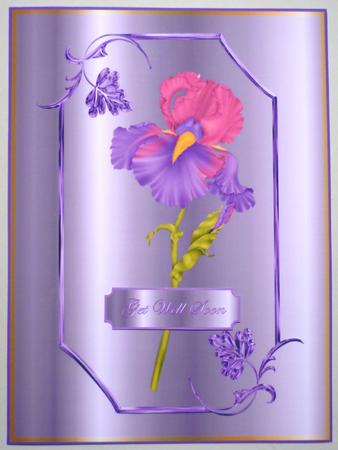 Pretty Iris by Michelle Chivers