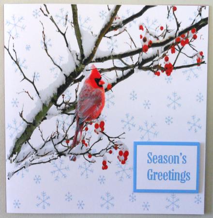 The Red Cardinal Bird in Winter by Michelle Chivers