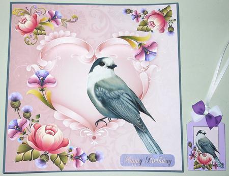 Beautiful Grey Jay by Michelle Chivers