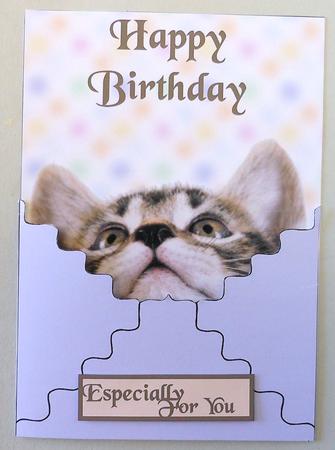 Envelope Card Cat Lover by Michelle Chivers