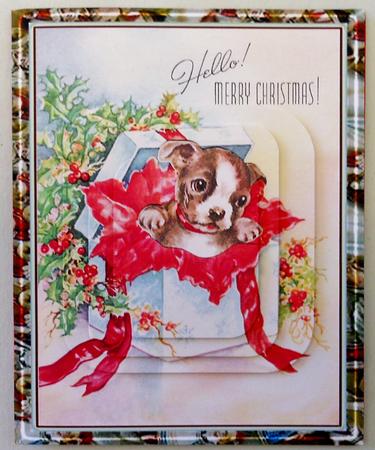 Dog Wrapped Up for Chistmas by Michelle Chivers