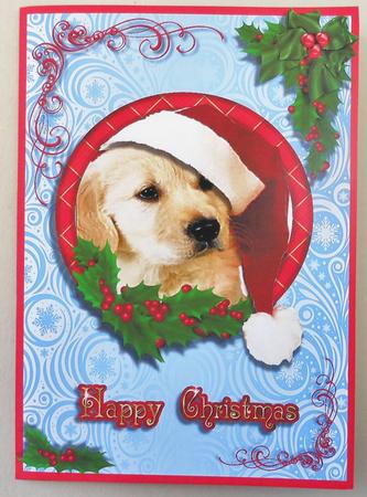 Retriever Happy Christmas by Michelle Chivers
