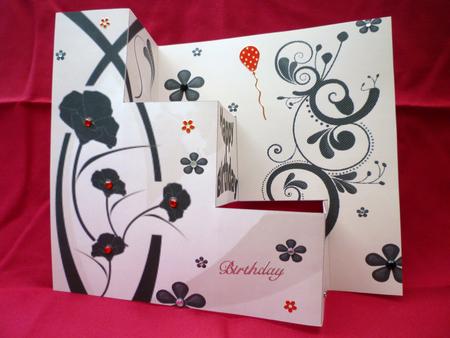 Stylish Black Poppies by Michelle Chivers