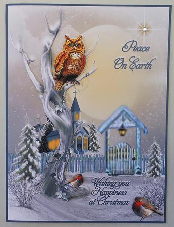 Night Owl by Michelle Chivers
