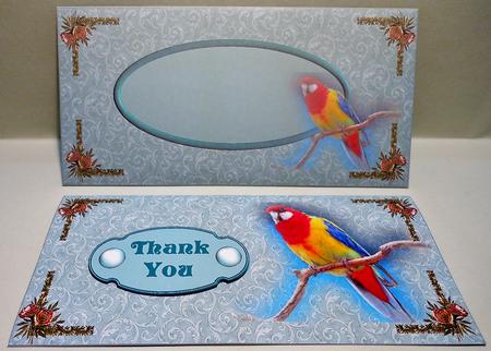 Australian Rosella Dl Card Kit by Michelle Chivers