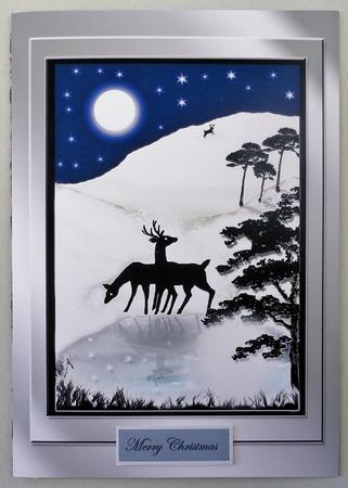 Winter Wonderland by Michelle Chivers