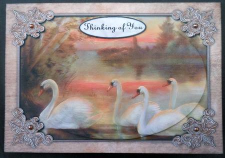 Beautiful Swans at Sunset by Michelle Chivers