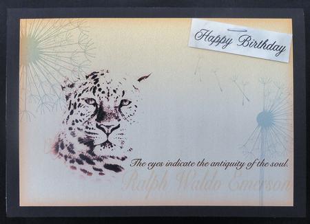 Leopard Eyes A4 Card Topper by Michelle Chivers