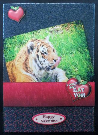 Tiger Love A5 Step by Step Card by Michelle Chivers