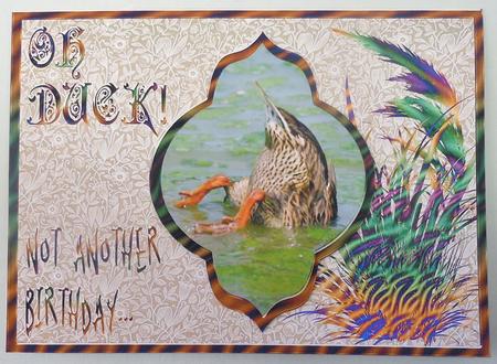 Oh Duck! Not Another Birthday -  Fancy Shaped Pyramid by Michelle Chivers