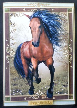 The Wild Stallion by Michelle Chivers