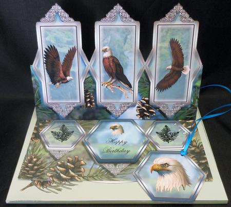 The Bald Eagle Easel Kit by Michelle Chivers