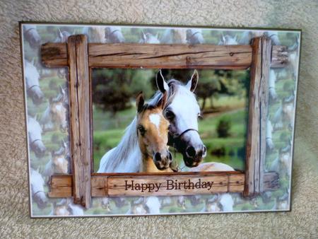 Mare and Foal Horse Lovers Quick Card by Michelle Chivers