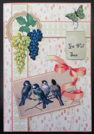 Vintage Beautiful Birds by Michelle Chivers