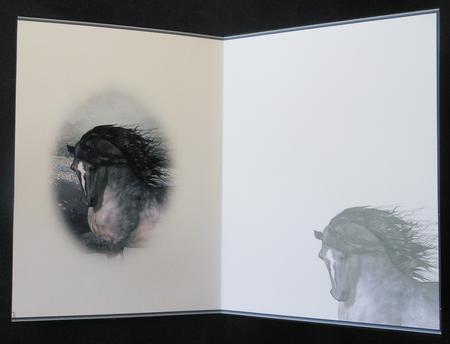When Darkness Falls Blank Insert by Michelle Chivers