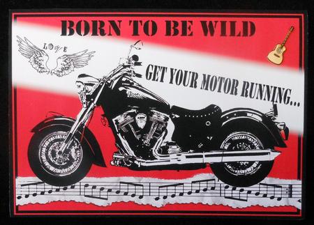 Born to Be Wild by Michelle Chivers