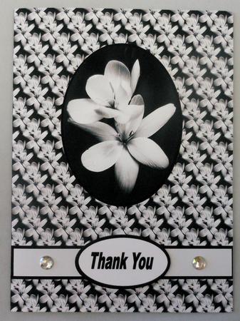 Monochrome Floral Card by Michelle Chivers