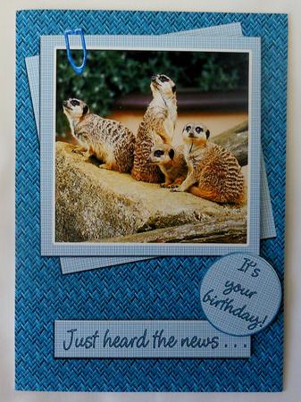 Meerkats Meeting - Birthday or Congratulations Card by Michelle Chivers