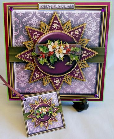 Christmas Flowers 8x8 Mini Kit by Michelle Chivers