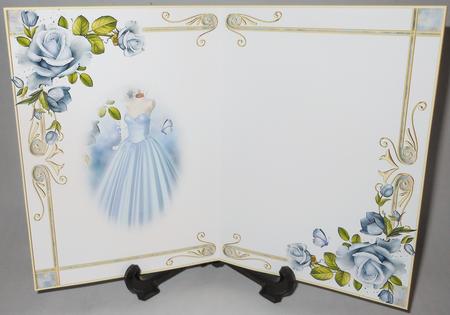 Moonlight Shadow Dress Blank Insert by Michelle Chivers