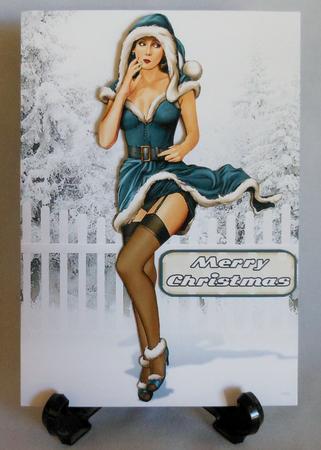 1950's Pin Up Girl Eva Grace Winter Wonderland (blue) by Michelle Chivers