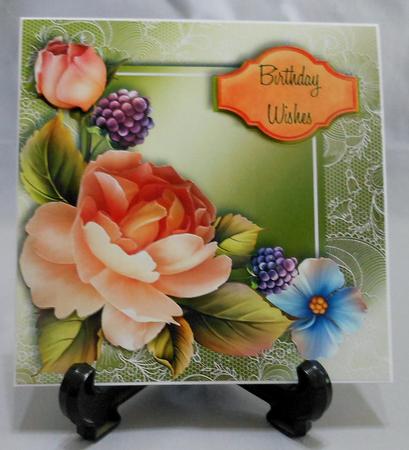 Gorgeous Peach Rose Lacey Square by Michelle Chivers