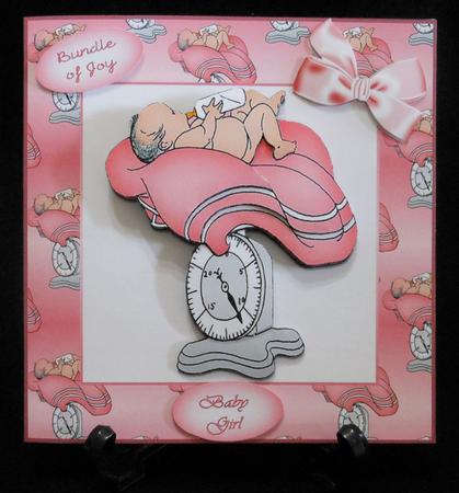 Weighing in Girl Step by Step by Michelle Chivers