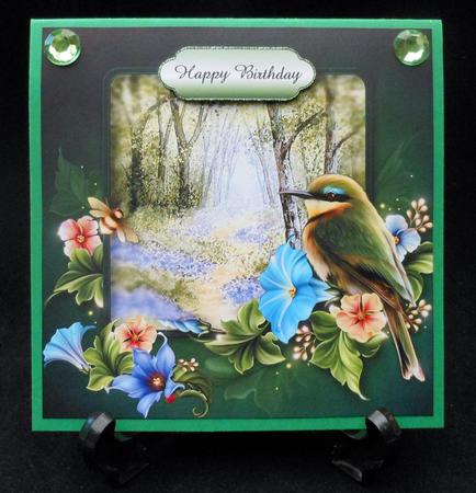 Beautiful Bird at the Bluebell Woods by Michelle Chivers