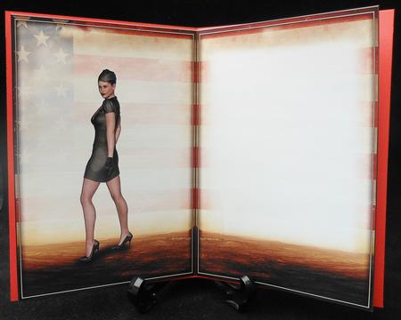 We Salute You Insert by Michelle Chivers