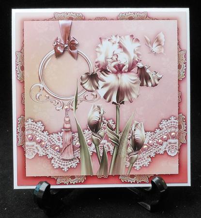 Soft White Iris Front Card by Michelle Chivers