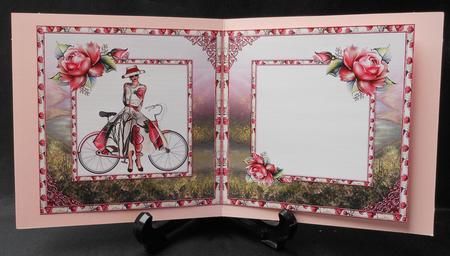The Heather Fields Insert by Michelle Chivers
