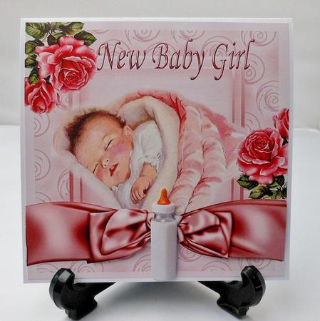 Pretty in Pink Baby Girl with Roses 8x8 by Michelle Chivers