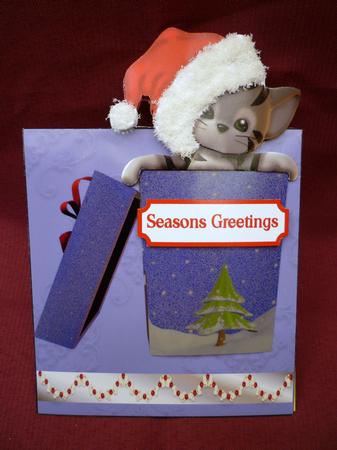 Kitty in the Box Over the Edge by Michelle Chivers