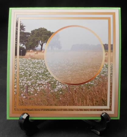 Hay Bales in a Mustard Frame Matching 8in x 8in Insert Plate by Michelle Chivers