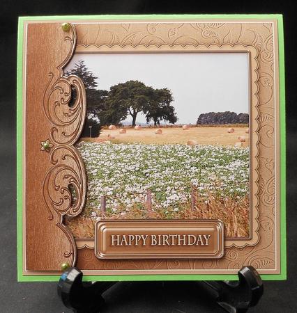 Hay Bales in a Mustard Frame 8in x 8in Quick Card by Michelle Chivers